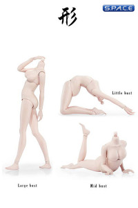 1/6 Scale Female pale Body middle breast Super-Flexible