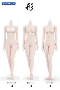 1/6 Scale Female pale Body large breast Super-Flexible