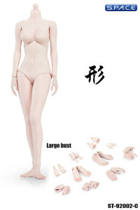 1/6 Scale Female pale Body large breast Super-Flexible