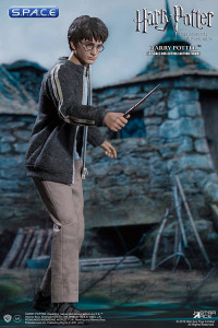 1/6 Scale Harry Potter Teenage Version (Harry Potter and the Prisoner of Azkaban)