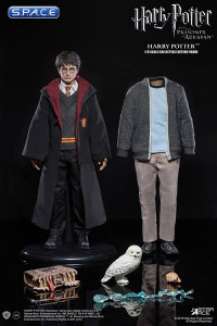 1/6 Scale Harry Potter Teenage Version (Harry Potter and the Prisoner of Azkaban)