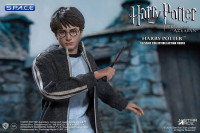 1/6 Scale Harry Potter Teenage Version (Harry Potter and the Prisoner of Azkaban)