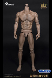 1/6 Scale Male Body Thick Chest / Broad Shoulder / headless