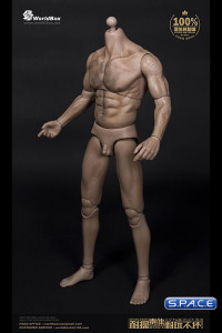 1/6 Scale Male Body Thick Chest / Broad Shoulder / headless