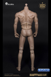 1/6 Scale Male Body Thick Chest / Broad Shoulder / headless