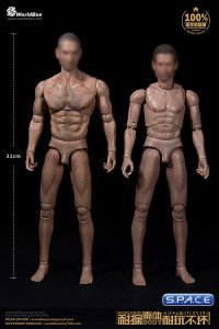 1/6 Scale Male Body Thick Chest / Broad Shoulder / headless