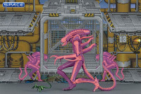 Xenomorph Warrior Arcade Appearance (Aliens)