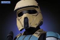 1/6 Scale Shoretrooper Bust (Rogue One: A Star Wars Story)