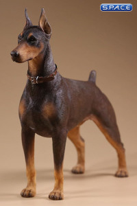 1/6 Scale German Doberman Version A