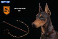 1/6 Scale German Doberman Version A