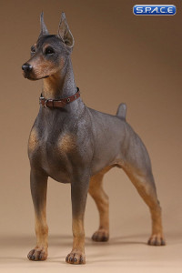 1/6 Scale German Doberman Version B