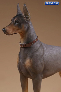 1/6 Scale German Doberman Version B