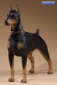 1/6 Scale German Doberman Version C