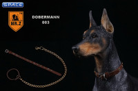 1/6 Scale German Doberman Version C