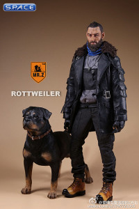 1/6 Scale Rottweiler Version A