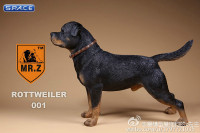 1/6 Scale Rottweiler Version A