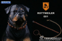 1/6 Scale Rottweiler Version A