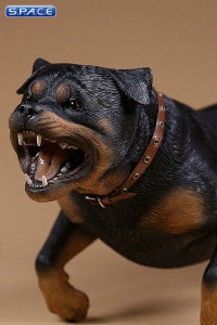 1/6 Scale Rottweiler Version B