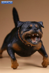 1/6 Scale Rottweiler Version B