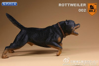 1/6 Scale Rottweiler Version B