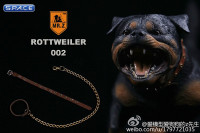 1/6 Scale Rottweiler Version B