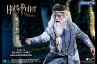 1/6 Scale Albus Dumbledore (Harry Potter and the Order of the Phoenix)