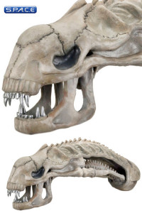 1:1 Alien Skull Life-Size Prop Replica (Aliens)