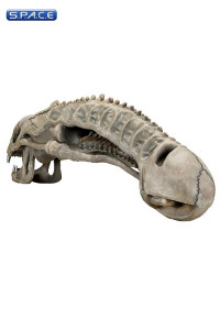 1:1 Alien Skull Life-Size Prop Replica (Aliens)