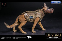 1/6 Scale DEVGRU K9 Handler with Dog (Elite Series)