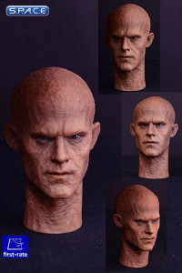 1/6 Scale Burned Male Head Sculpts Set of 2