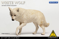 1/6 Scale white Companion Wolf