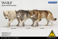 1/6 Scale white Companion Wolf