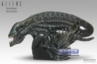 1:1 Alien Warrior Life-Size Bust (Aliens)