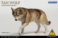 1/6 Scale tan Companion Wolf