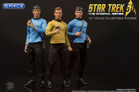 1/6 Scale McCoy Master Series (Star Trek)