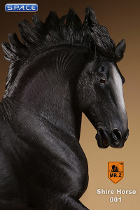 1/6 Scale black Shire Horse