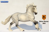 1/6 Scale white Shire Horse