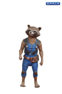 Star-Lord & Rocket Raccoon (Guardians of the Galaxy Vol. 2)