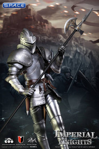 1/6 Scale Royal Knight (Series of Empires)
