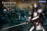 1/6 Scale Royal Knight (Series of Empires)