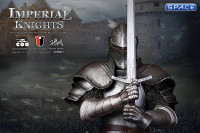 1/6 Scale Royal Knight (Series of Empires)