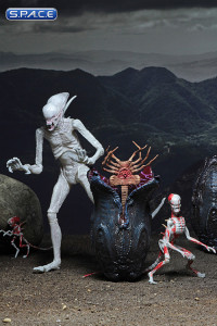Alien Creature Accessory Pack (Alien: Covenant)