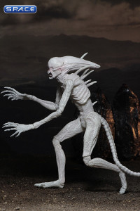 Neomorph (Alien: Covenant)