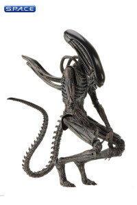 Xenomorph (Alien: Covenant)