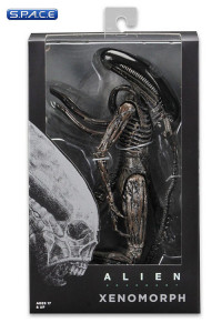 Xenomorph (Alien: Covenant)