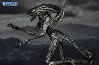 Xenomorph (Alien: Covenant)