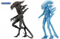 3er Komplettsatz: Aliens Serie 11 (Aliens)