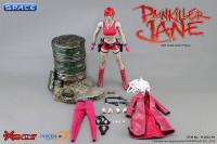 1/6 Scale Painkiller Jane