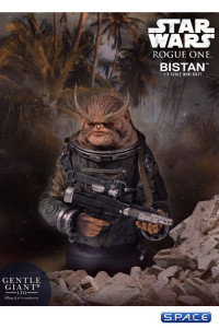 1/6 Scale Bistan Bust (Rogue One: A Star Wars Story)