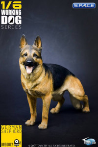 1/6 Scale German Shepherd